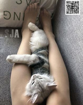 坏种1
