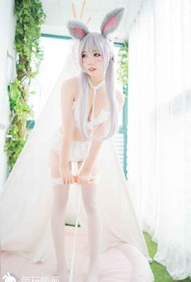 伊人www