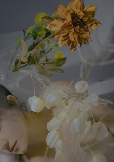 理论片一级