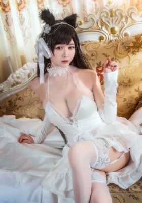 电视剧突围全集免费观看